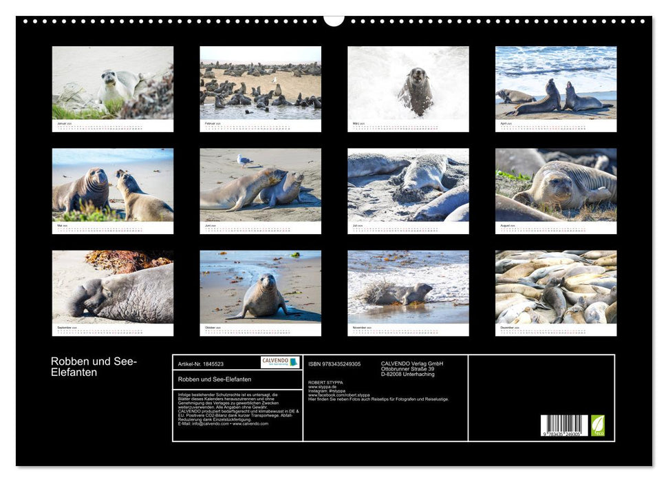 Robben und See-Elefanten (CALVENDO Wandkalender 2025)