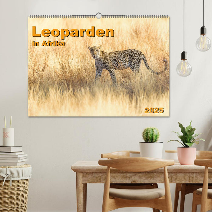 Leoparden in Afrika (CALVENDO Wandkalender 2025)