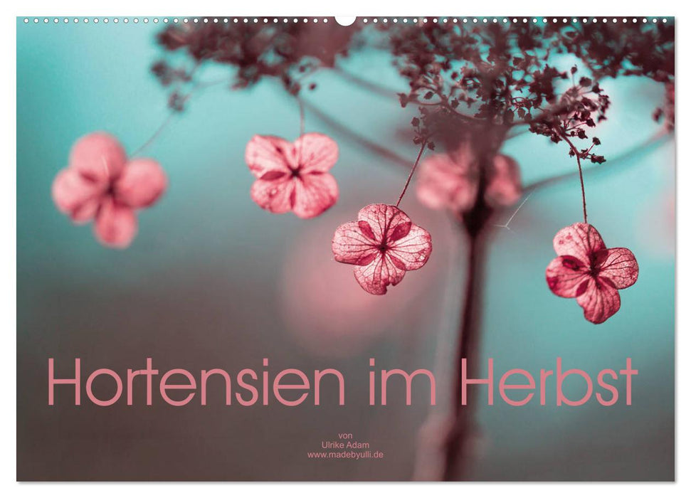 Hortensien im Herbst (CALVENDO Wandkalender 2025)