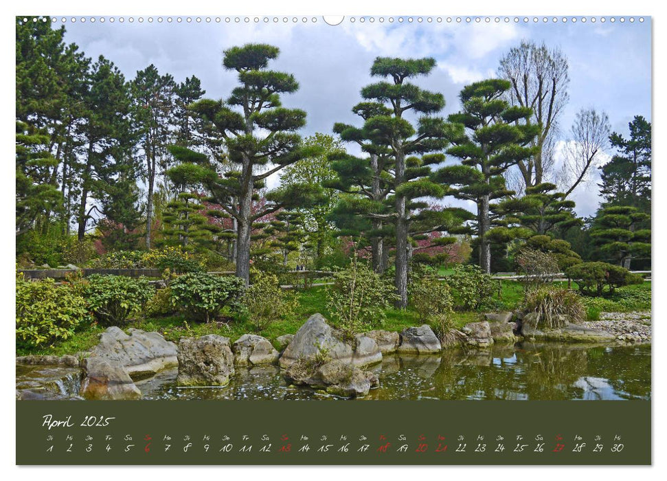 Düsseldorfer Nordpark (CALVENDO Premium Wandkalender 2025)