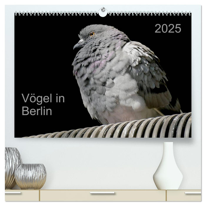 Vögel in Berlin (CALVENDO Premium Wandkalender 2025)