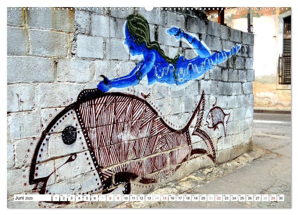 tierisch kubanisch - Graffiti in Havanna (CALVENDO Wandkalender 2025)