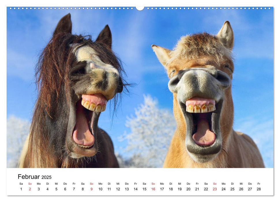 lach mit...just smile (CALVENDO Premium Wandkalender 2025)