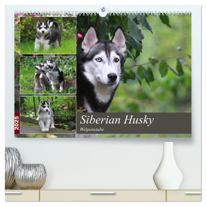 Siberian Husky - Welpenstube (CALVENDO Premium Wandkalender 2025)