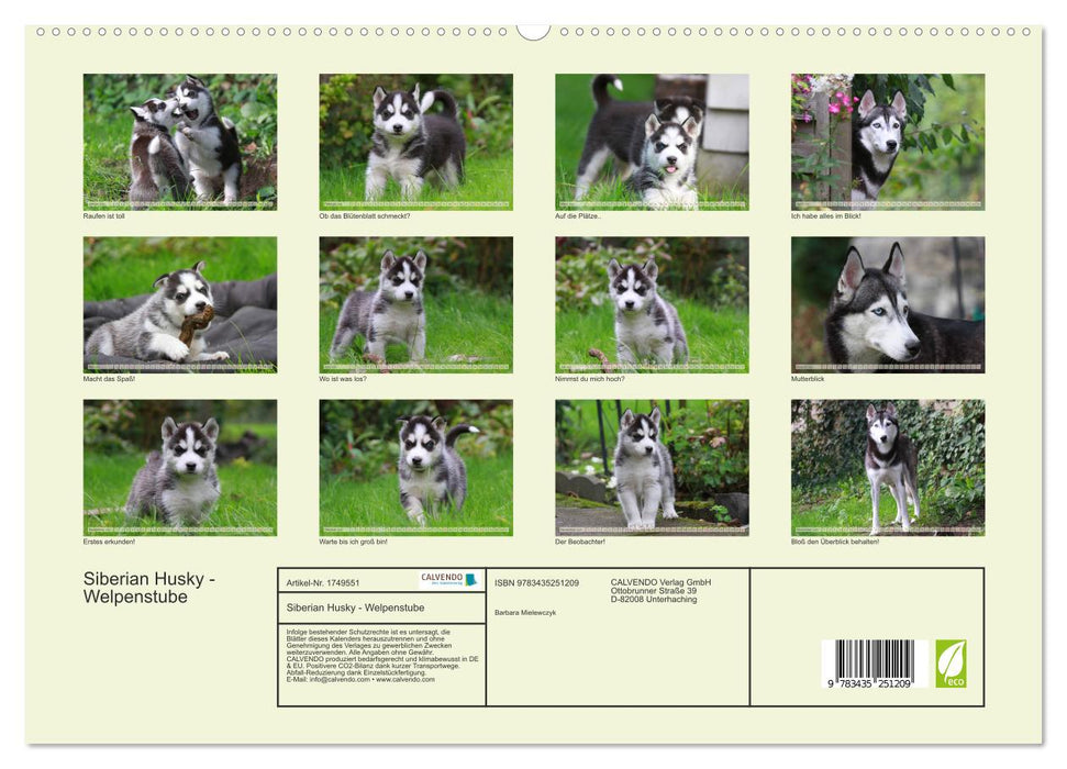 Siberian Husky - Welpenstube (CALVENDO Premium Wandkalender 2025)