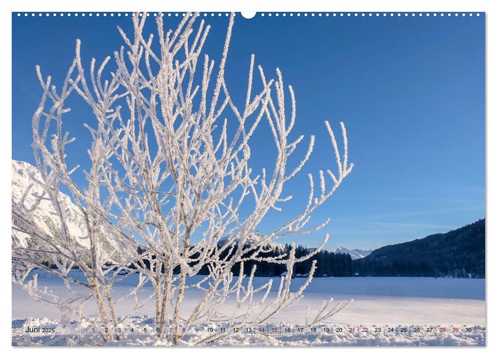 Schneeliebe (CALVENDO Premium Wandkalender 2025)