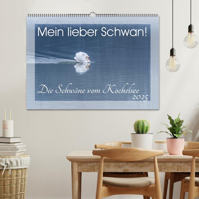 Mein lieber Schwan! Die Schwäne vom Kochelsee. (CALVENDO Wandkalender 2025)