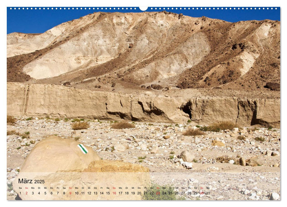 NEGEV Wege in der Wüste (CALVENDO Premium Wandkalender 2025)