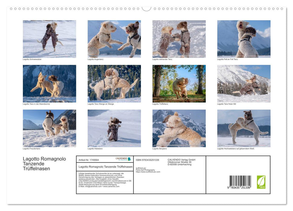 Lagotto Romagnolo Tanzende Trüffelnasen (CALVENDO Premium Wandkalender 2025)