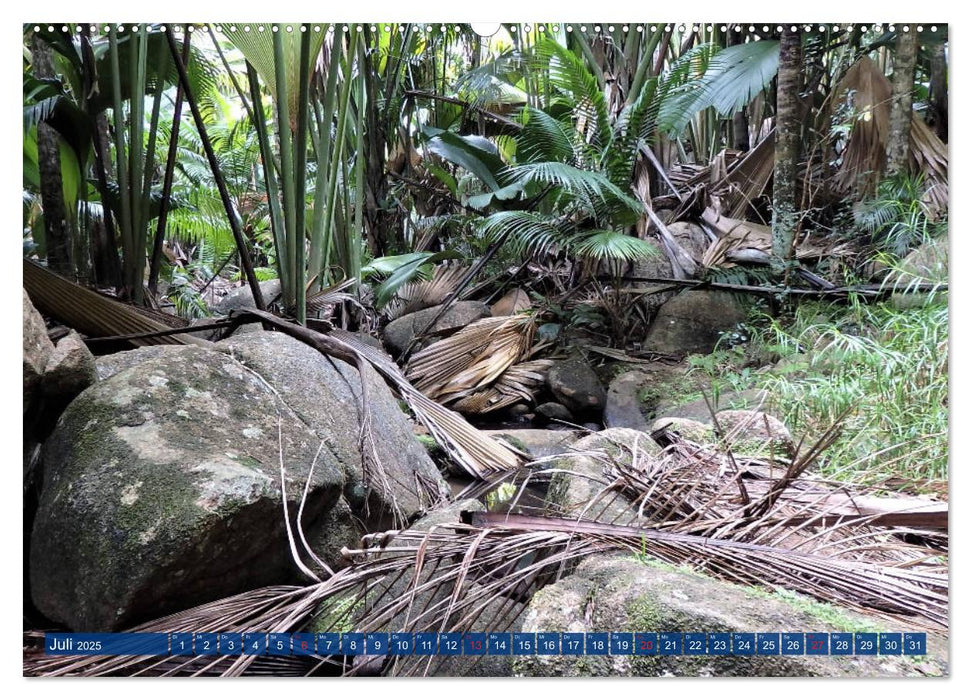 Seychellen - Wild und Schön (CALVENDO Premium Wandkalender 2025)