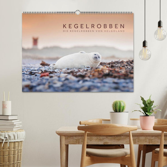 Kegelrobben - Die Kegelrobben von Helgoland (CALVENDO Wandkalender 2025)