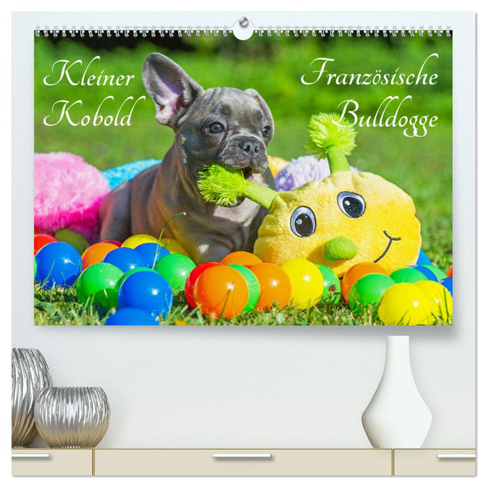 Kleiner Kobold Französische Bulldogge (CALVENDO Premium Wandkalender 2025)