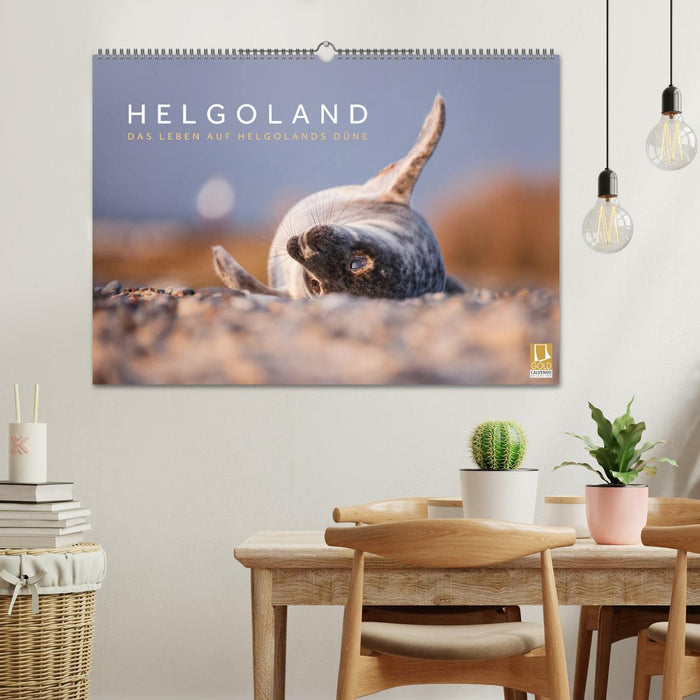 Helgoland - Das Leben auf der Düne Helgolands (CALVENDO Wandkalender 2025)