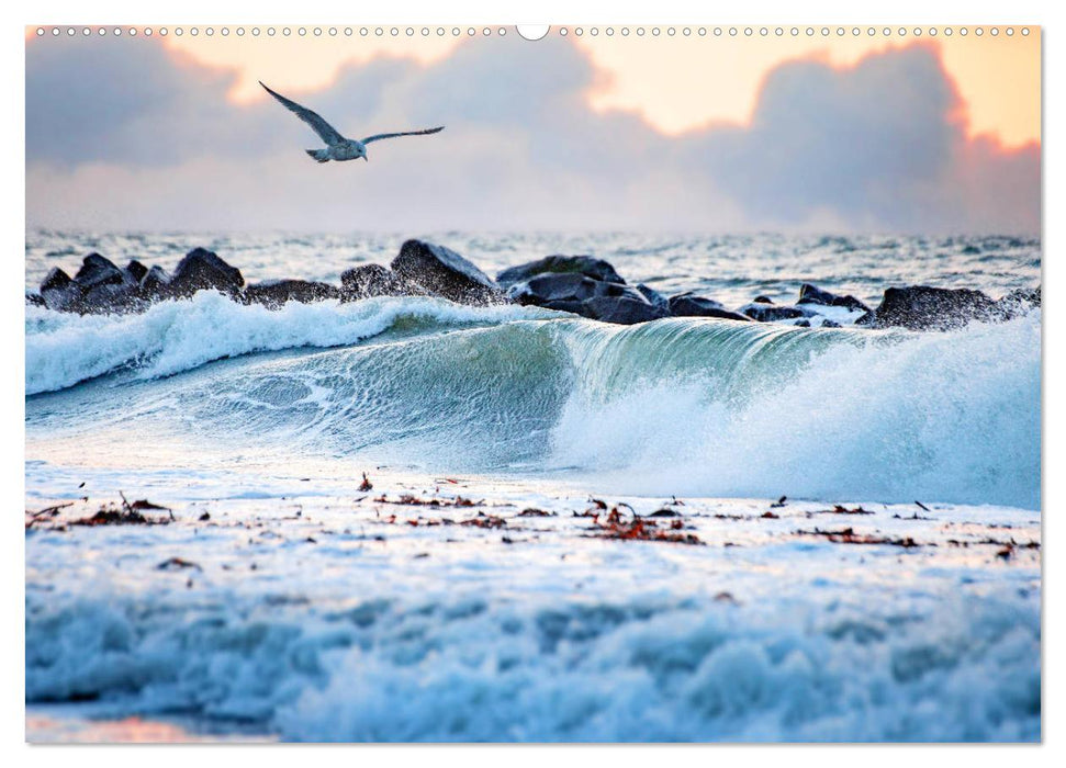 Helgoland - Das Leben auf der Düne Helgolands (CALVENDO Wandkalender 2025)