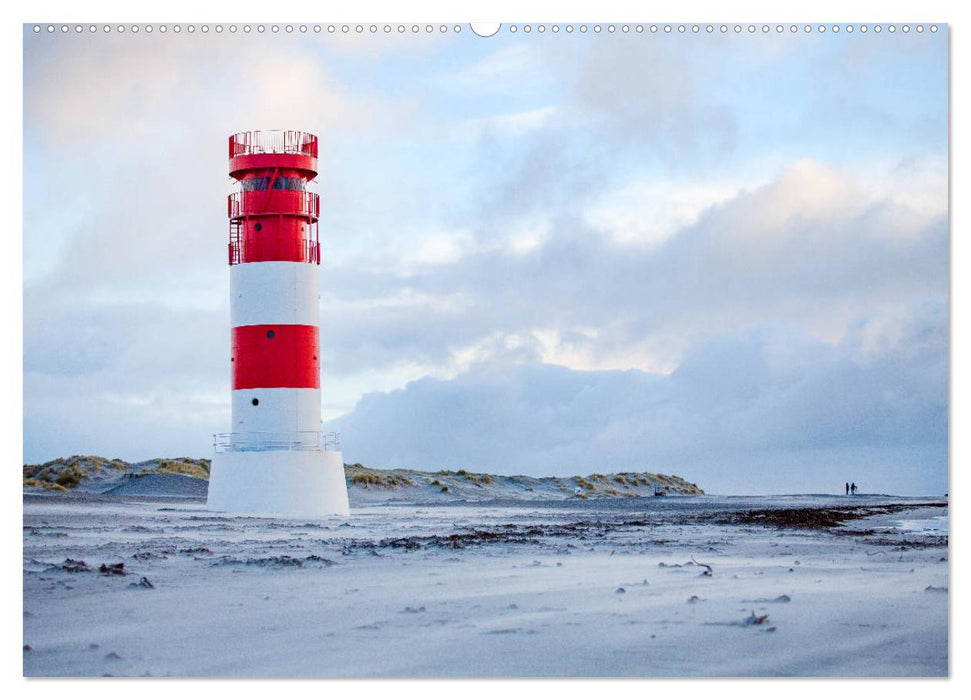 Helgoland - Das Leben auf der Düne Helgolands (CALVENDO Wandkalender 2025)