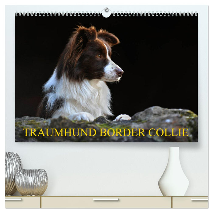 Traumhund Border Collie (CALVENDO Premium Wandkalender 2025)