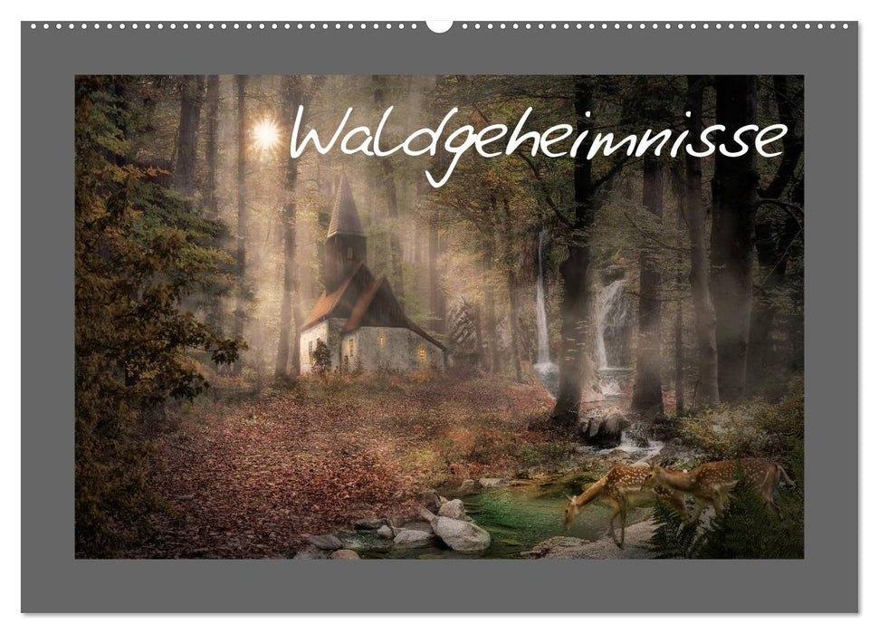 Waldgeheimnisse (CALVENDO Wandkalender 2025)
