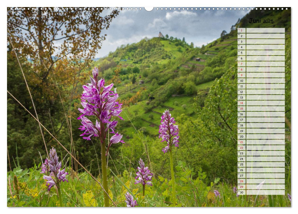 Rund um die Wurmlinger Kapelle (CALVENDO Wandkalender 2025)