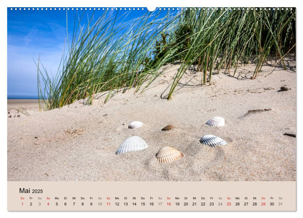 Nordseeinsel Borkum - Inselrausch im Hochseeklima (CALVENDO Premium Wandkalender 2025)