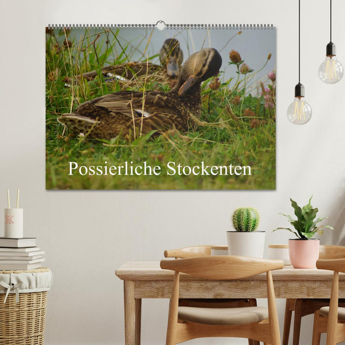 Possierliche Stockenten (CALVENDO Wandkalender 2025)