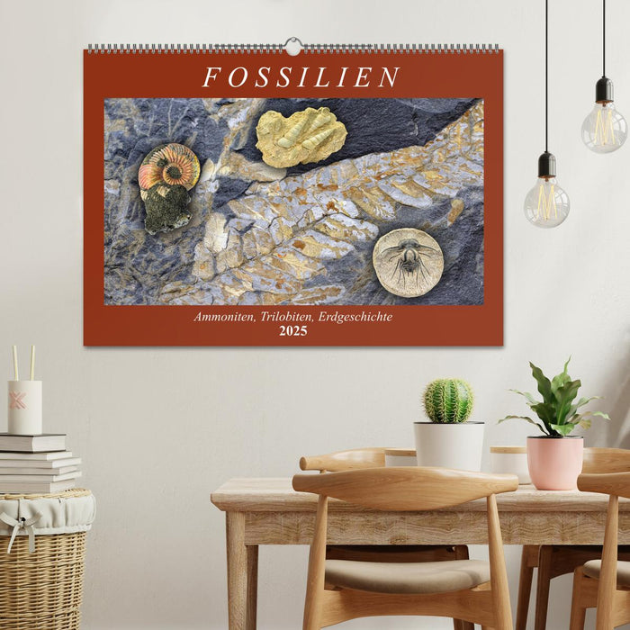 Fossilien - Ammoniten, Trilobiten, Erdgeschichte (CALVENDO Wandkalender 2025)