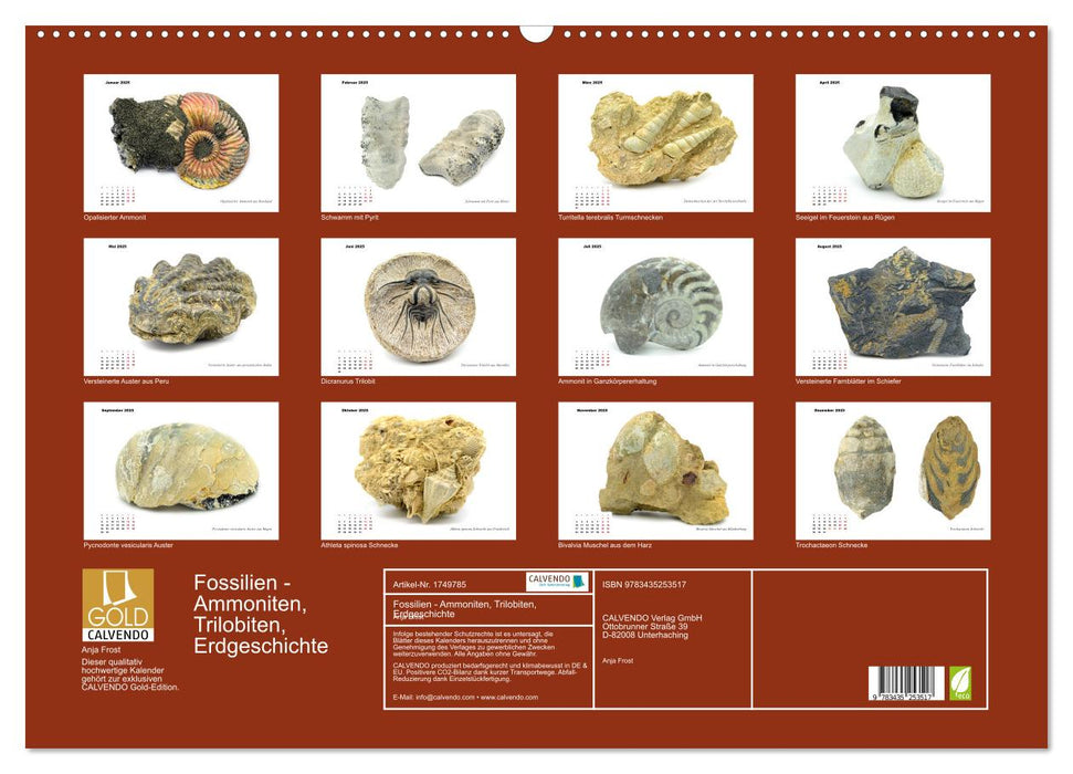 Fossilien - Ammoniten, Trilobiten, Erdgeschichte (CALVENDO Wandkalender 2025)