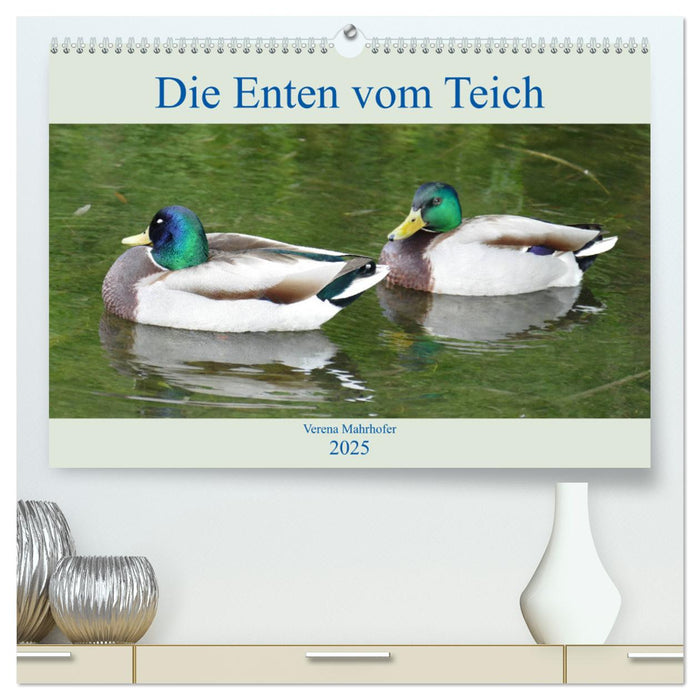 Die Enten vom Teich (CALVENDO Premium Wandkalender 2025)