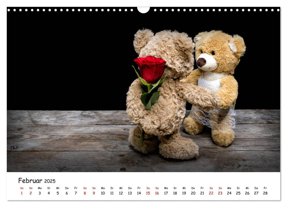 Eddy, der Teddy (CALVENDO Wandkalender 2025)