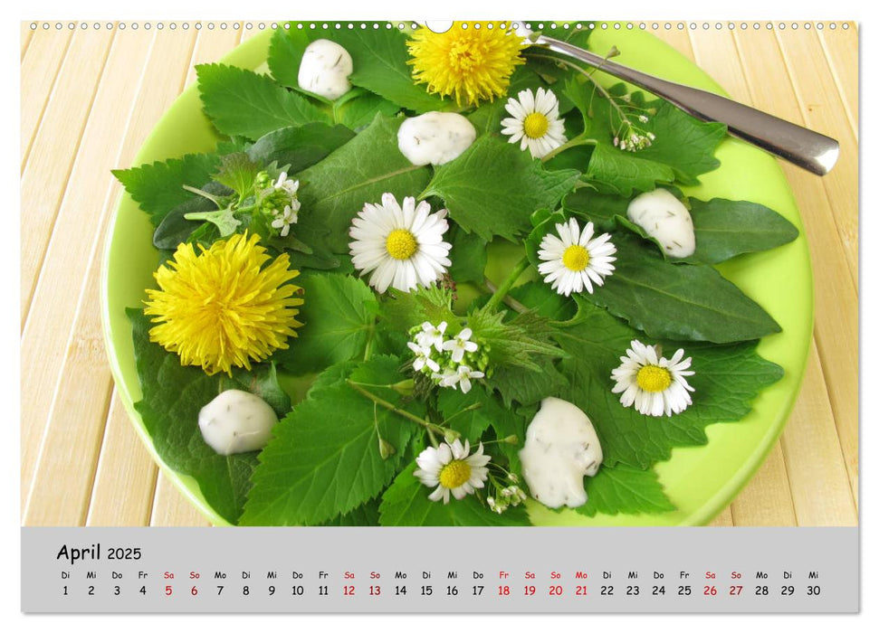 Meine Küche – Wildkräuter und Wildfrüchte (CALVENDO Premium Wandkalender 2025)