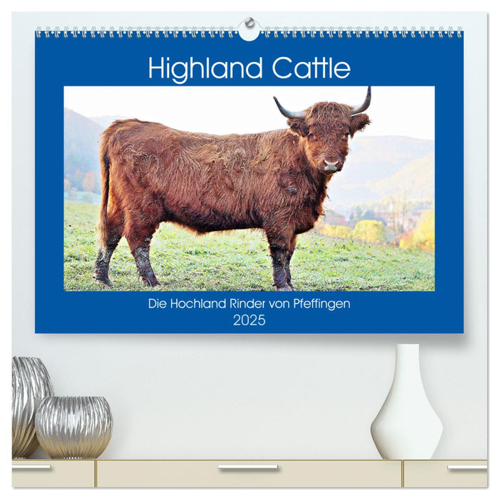 Highland Cattle, die Hochlandrinder aus Pfeffingen (CALVENDO Premium Wandkalender 2025)