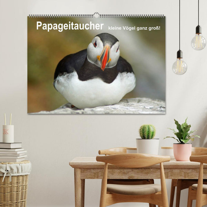 Papageitaucher - kleine Vögel ganz groß! (CALVENDO Wandkalender 2025)