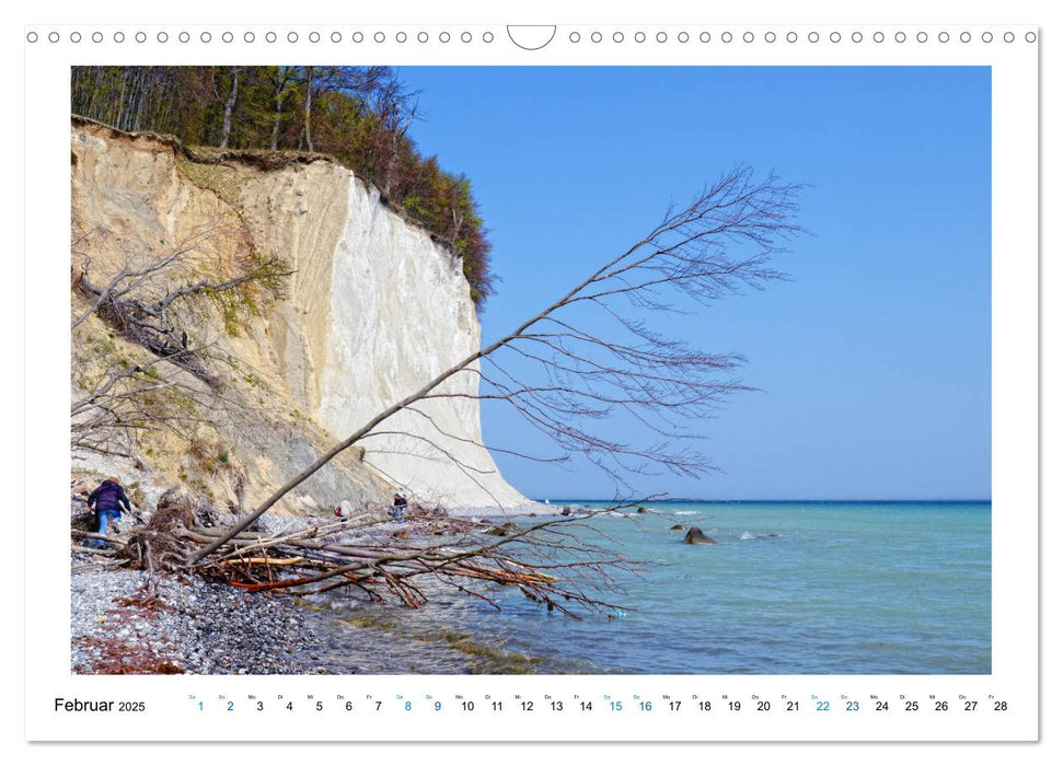 Kreidefelsen Insel Rügen - Sonne, Wind und Ostsee (CALVENDO Wandkalender 2025)