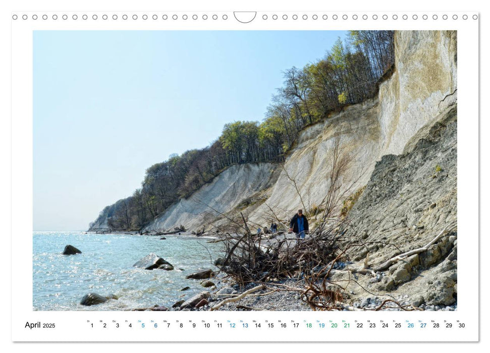 Kreidefelsen Insel Rügen - Sonne, Wind und Ostsee (CALVENDO Wandkalender 2025)