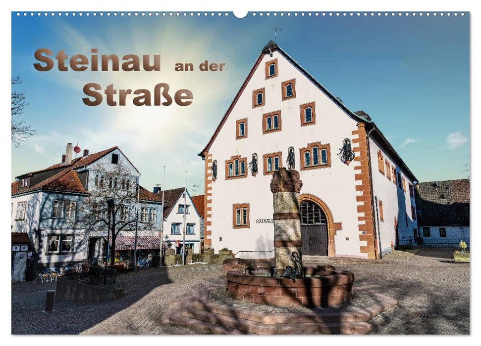 Steinau an der Straße (CALVENDO Wandkalender 2025)