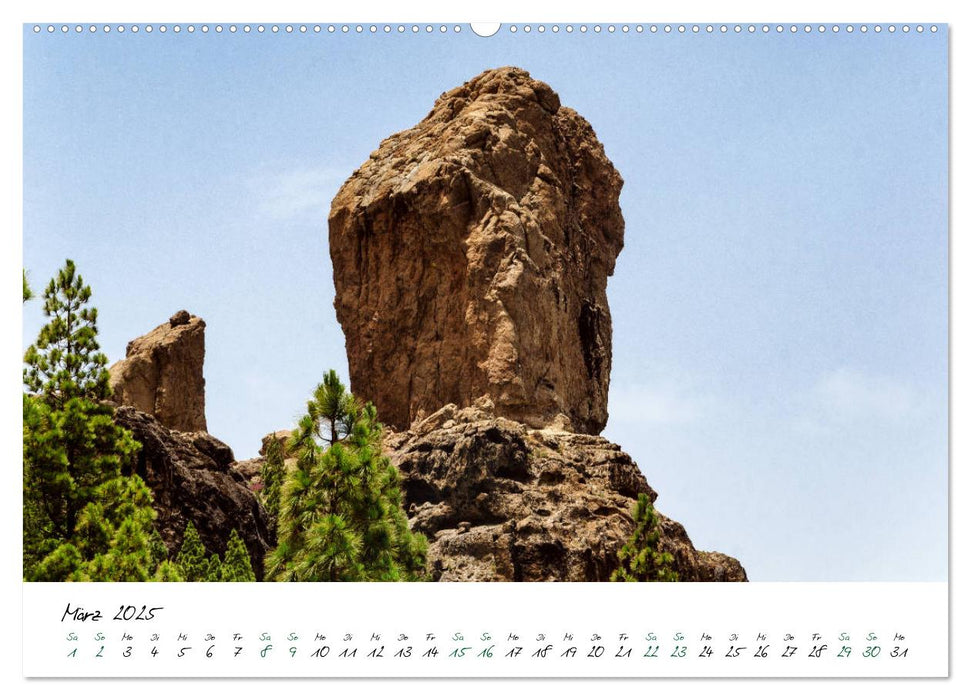 Gran Canaria - 365 Tage Frühling (CALVENDO Premium Wandkalender 2025)