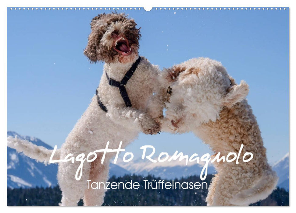 Lagotto Romagnolo Tanzende Trüffelnasen (CALVENDO Wandkalender 2025)