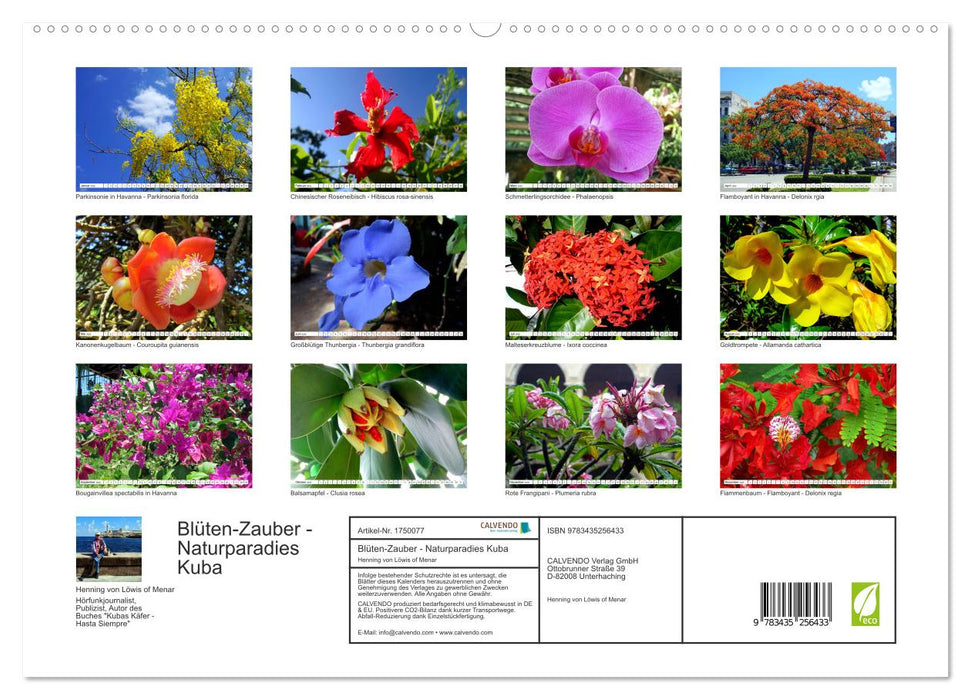 Blüten-Zauber - Naturparadies Kuba (CALVENDO Premium Wandkalender 2025)