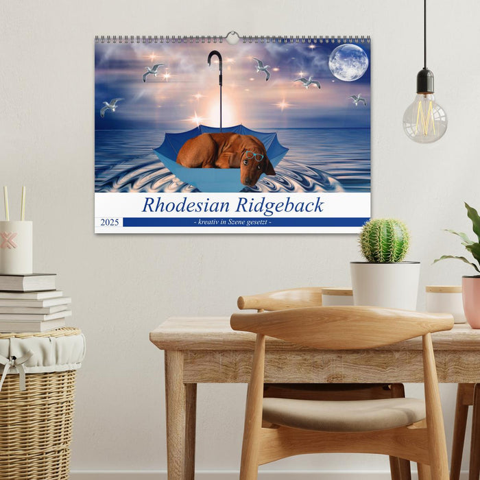 Rhodesian Ridgeback - kreativ in Szene gesetzt - (CALVENDO Wandkalender 2025)