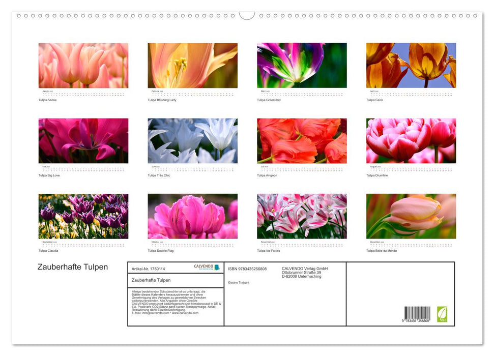 Zauberhafte Tulpen (CALVENDO Wandkalender 2025)