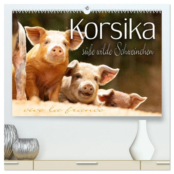 Korsika - süße, wilde Schweinchen (CALVENDO Premium Wandkalender 2025)