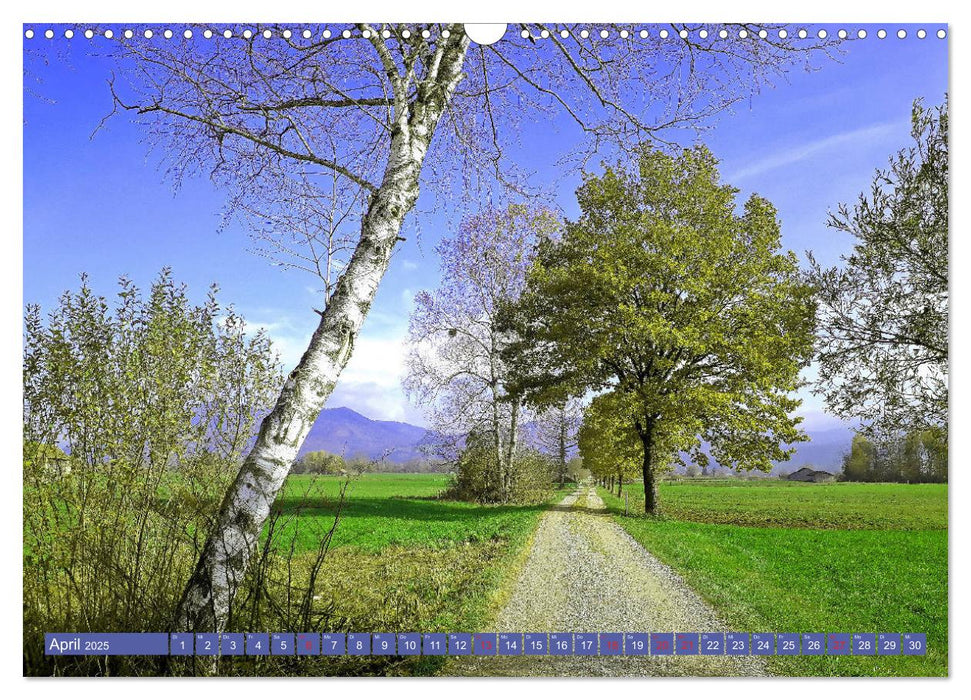 Das Loisach-Kochelsee-Moor Traumhafte Moosrundwege bei Benediktbeuern (CALVENDO Wandkalender 2025)