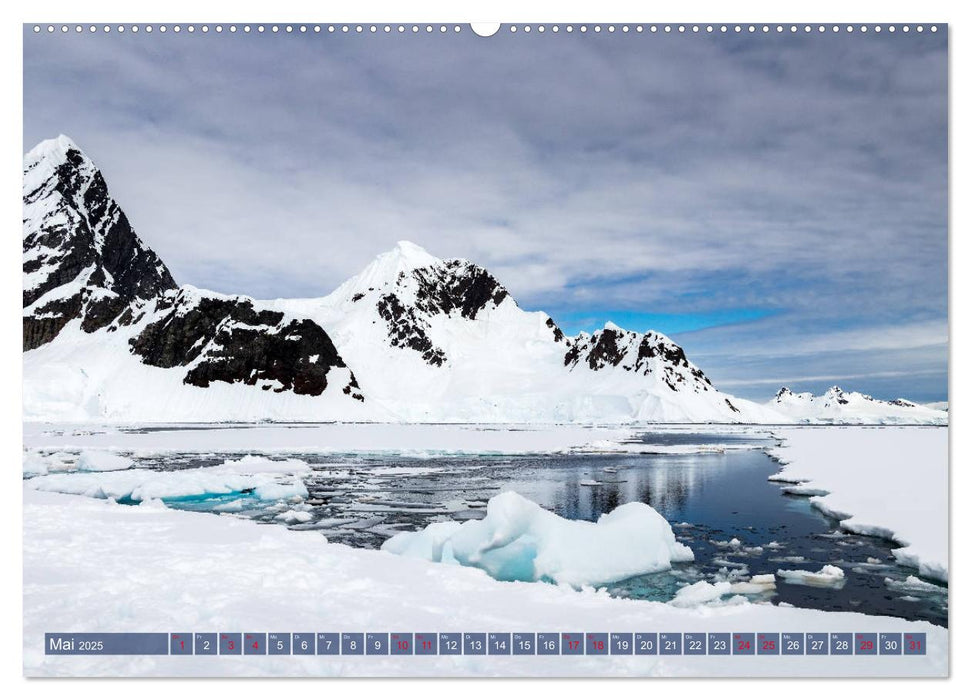 Antarktis Gletscher, Robben, Pinguine (CALVENDO Wandkalender 2025)