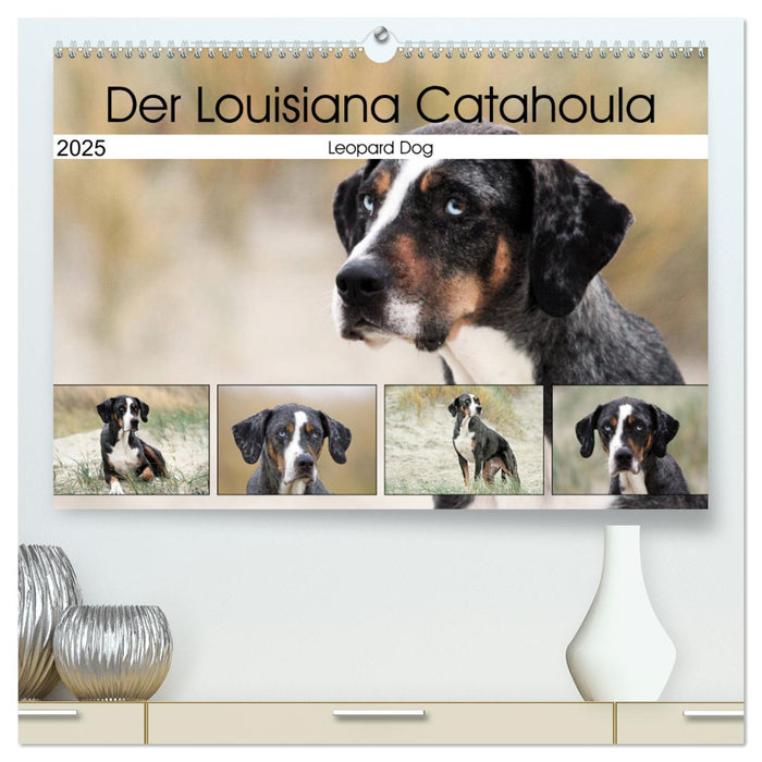 Der Louisiana Catahoula Leopard Dog (CALVENDO Premium Wandkalender 2025)