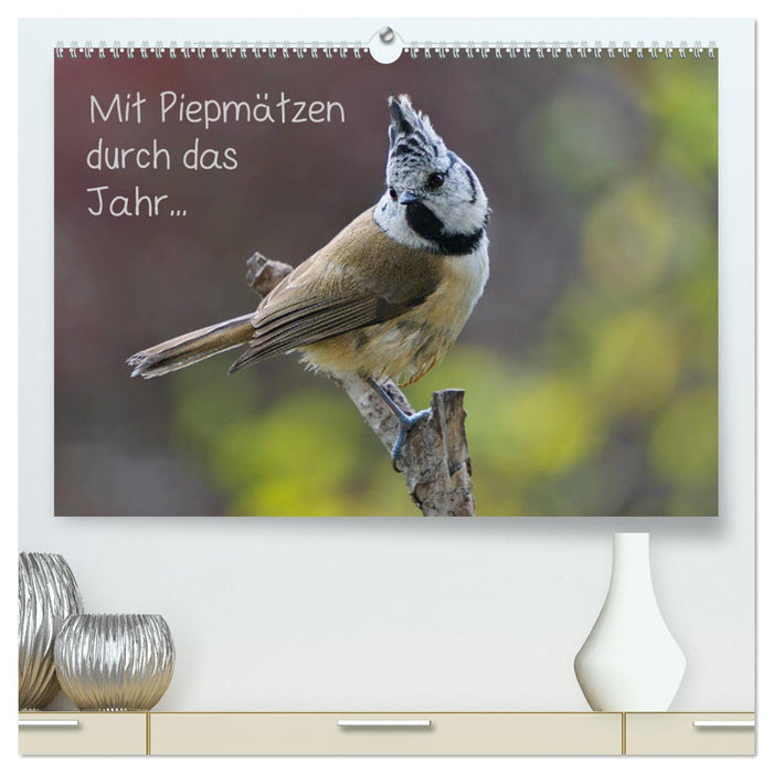 Mit Piepmätzen durch das Jahr ... (CALVENDO Premium Wandkalender 2025)