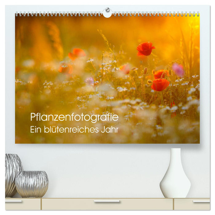 Pflanzenfotografie - Ein blütenreiches Jahr (CALVENDO Premium Wandkalender 2025)