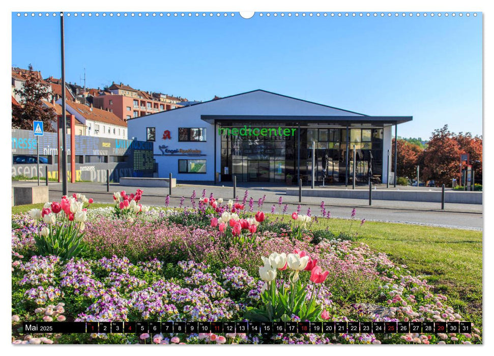 In und um Pirmasens (CALVENDO Wandkalender 2025)