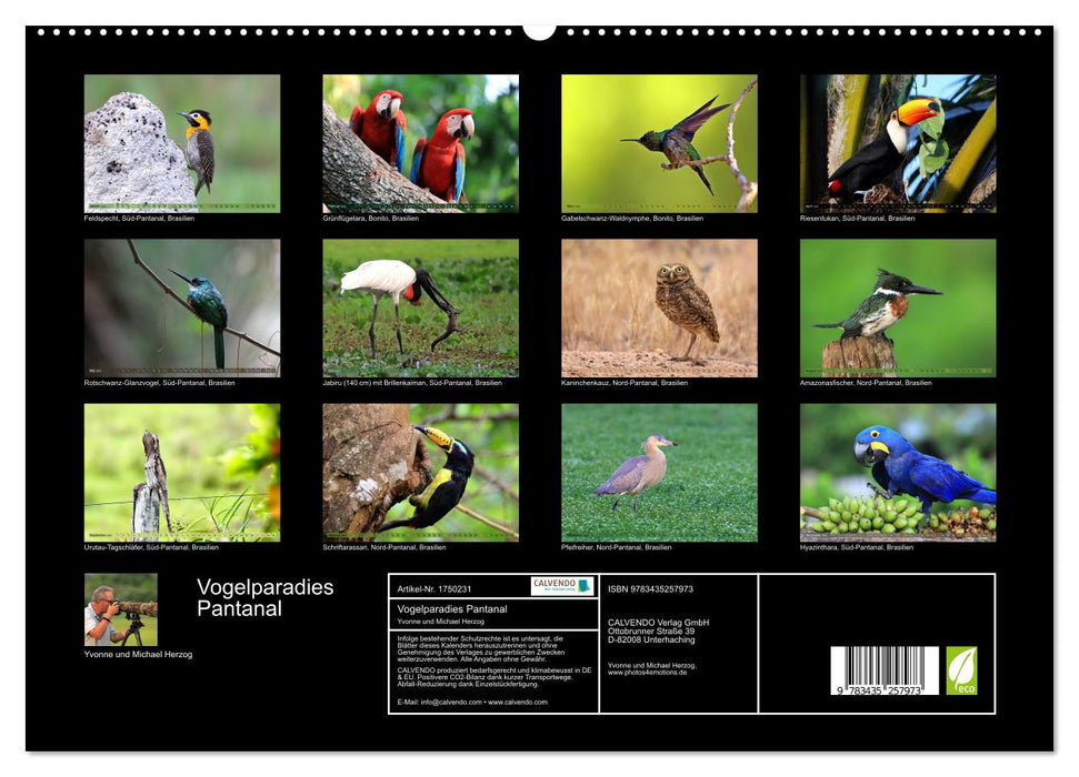 Vogelparadies Pantanal (CALVENDO Premium Wandkalender 2025)