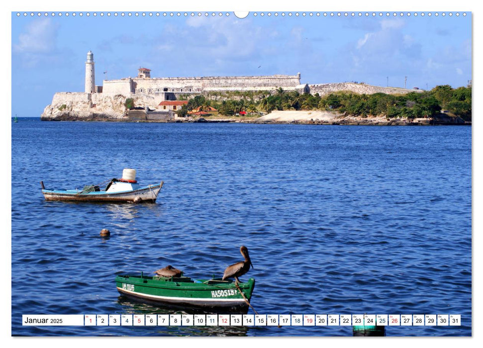 Prächtige Pelikane - Herrscher der Lüfte in der Bucht von Havanna (CALVENDO Wandkalender 2025)