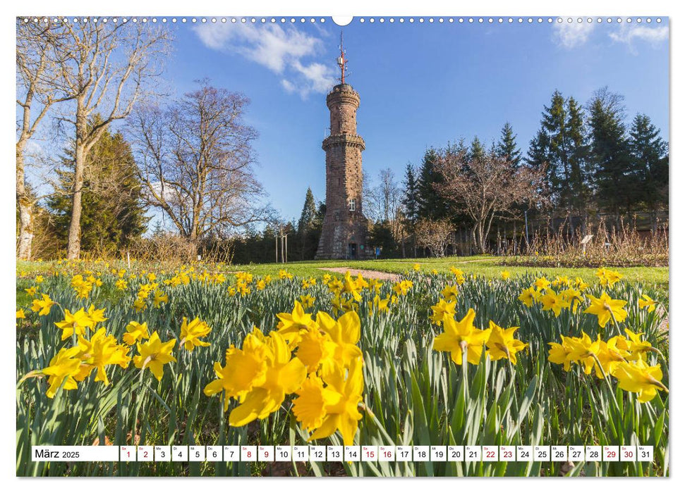 Freudenstadt im Schwarzwald - Wandkalender (CALVENDO Premium Wandkalender 2025)