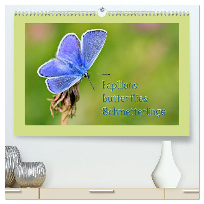 Papillons-Butterflies-Schmetterlinge (CALVENDO Premium Wandkalender 2025)